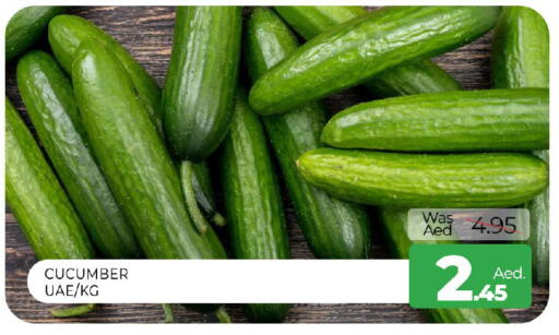 Cucumber available at المدينة in الإمارات العربية المتحدة , الامارات - الشارقة / عجمان