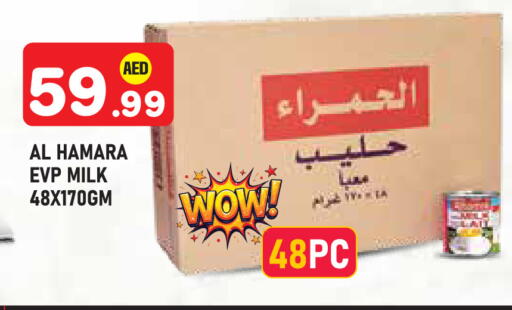 available at سنابل بني ياس in الإمارات العربية المتحدة , الامارات - أبو ظبي