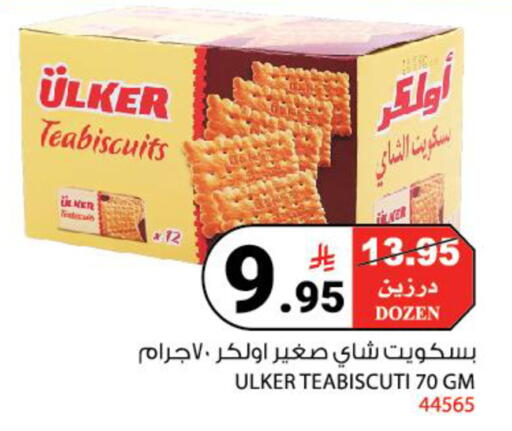 available at House Care in KSA, Saudi Arabia, Saudi - Mecca
