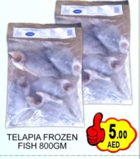 available at Green Gift Department Store in UAE - Dubai