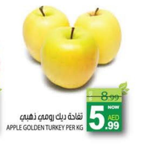 Apple from Turkey available at هاشم هايبرماركت in الإمارات العربية المتحدة , الامارات - الشارقة / عجمان