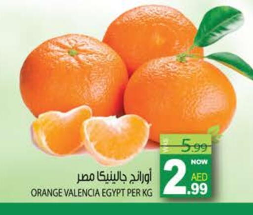 Orange from Egypt available at هاشم هايبرماركت in الإمارات العربية المتحدة , الامارات - الشارقة / عجمان
