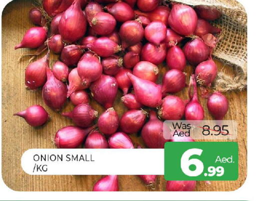 Onion available at المدينة in الإمارات العربية المتحدة , الامارات - الشارقة / عجمان