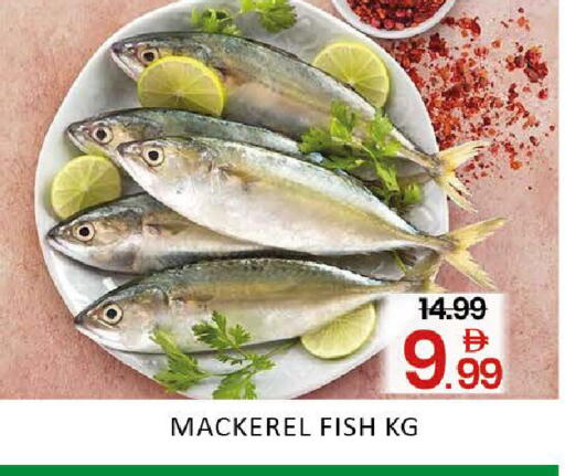 Mango available at مانجو هايبرماركت in الإمارات العربية المتحدة , الامارات - دبي