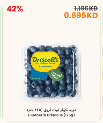 Blueberry BlueBerry available at مركز سلطان in الكويت - محافظة الأحمدي