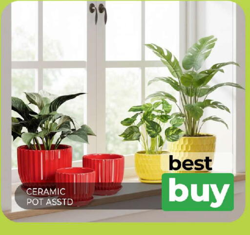 available at المدينة in الإمارات العربية المتحدة , الامارات - الشارقة / عجمان