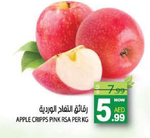 Apple available at هاشم هايبرماركت in الإمارات العربية المتحدة , الامارات - الشارقة / عجمان