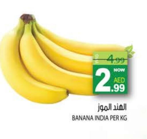 Banana from India available at هاشم هايبرماركت in الإمارات العربية المتحدة , الامارات - الشارقة / عجمان
