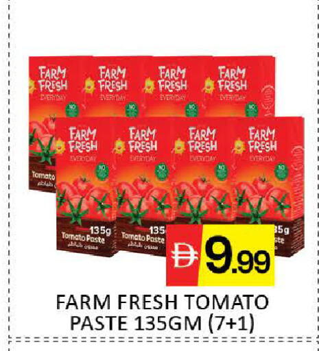 Mango Tomato available at مانجو هايبرماركت in الإمارات العربية المتحدة , الامارات - دبي