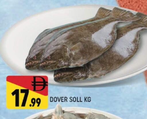 available at المدينة in الإمارات العربية المتحدة , الامارات - دبي