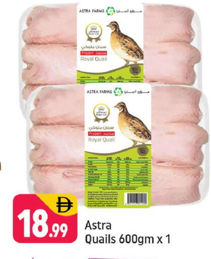 available at شكلان ماركت in الإمارات العربية المتحدة , الامارات - دبي