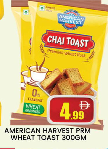 available at المدينة in الإمارات العربية المتحدة , الامارات - دبي