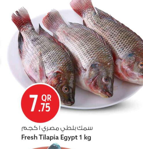 available at سفاري هايبر ماركت in قطر - الخور