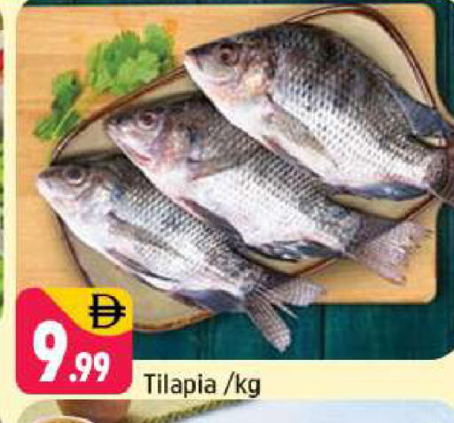 available at شكلان ماركت in الإمارات العربية المتحدة , الامارات - دبي