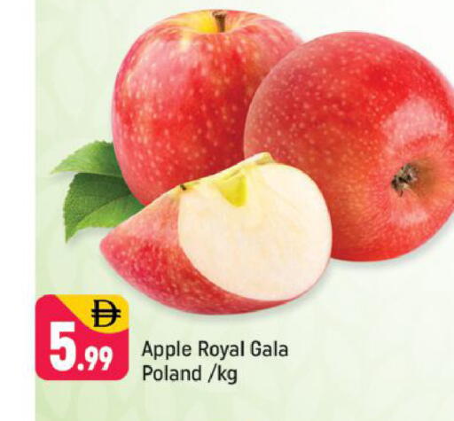 Apple from Poland available at شكلان ماركت in الإمارات العربية المتحدة , الامارات - دبي