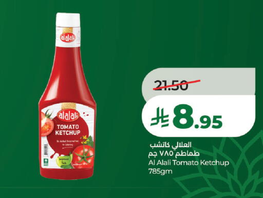Tomato available at لولو هايبرماركت in مملكة العربية السعودية, السعودية, سعودية - تبوك