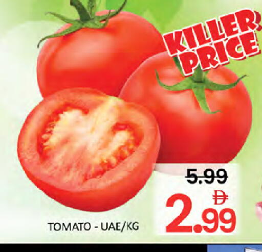 Tomato available at المدينة in الإمارات العربية المتحدة , الامارات - دبي