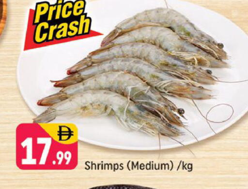 available at شكلان ماركت in الإمارات العربية المتحدة , الامارات - دبي