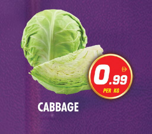 Cabbage available at نايت تو نايت in الإمارات العربية المتحدة , الامارات - الشارقة / عجمان