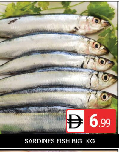 available at المدينة in الإمارات العربية المتحدة , الامارات - دبي