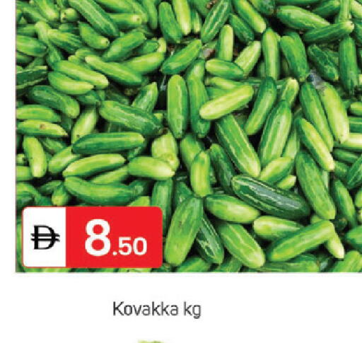 available at سوق طلال in الإمارات العربية المتحدة , الامارات - الشارقة / عجمان