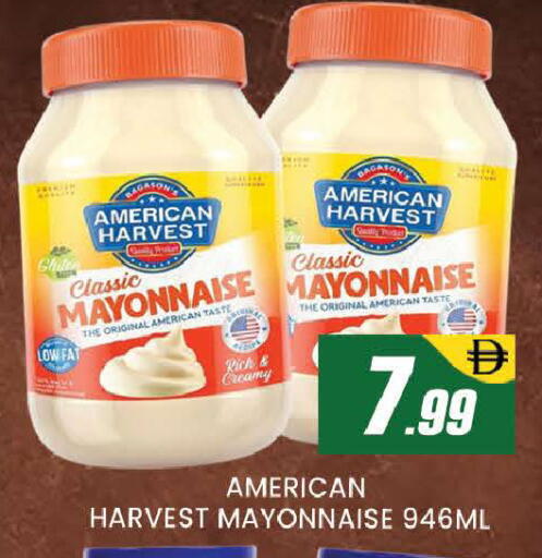 available at المدينة in الإمارات العربية المتحدة , الامارات - دبي