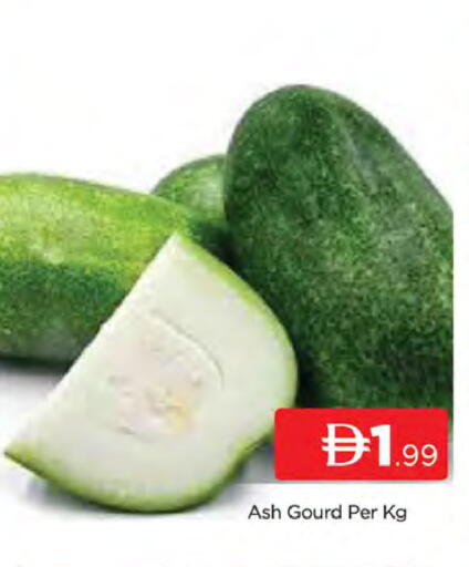 available at المدينة in الإمارات العربية المتحدة , الامارات - دبي