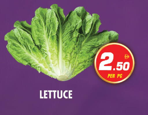 Lettuce available at نايت تو نايت in الإمارات العربية المتحدة , الامارات - الشارقة / عجمان