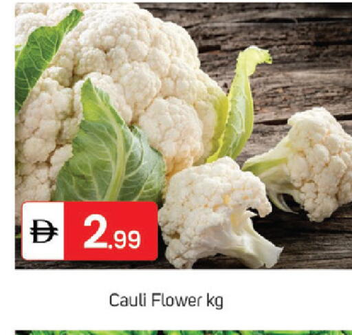 available at سوق طلال in الإمارات العربية المتحدة , الامارات - الشارقة / عجمان