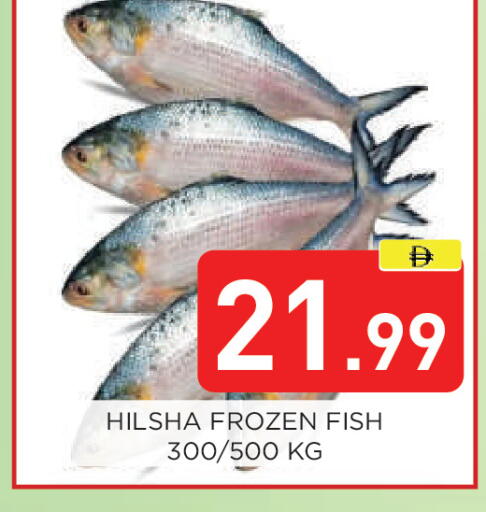 available at عين المدينة هايبرماركت in الإمارات العربية المتحدة , الامارات - الشارقة / عجمان