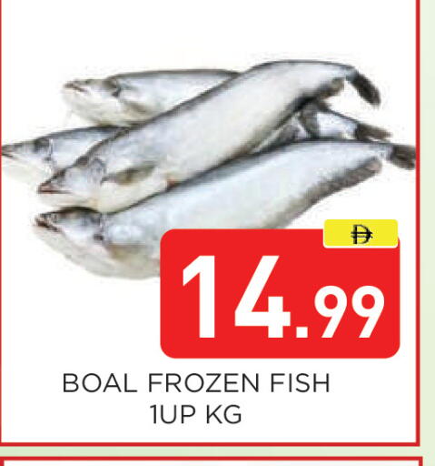 available at عين المدينة هايبرماركت in الإمارات العربية المتحدة , الامارات - الشارقة / عجمان