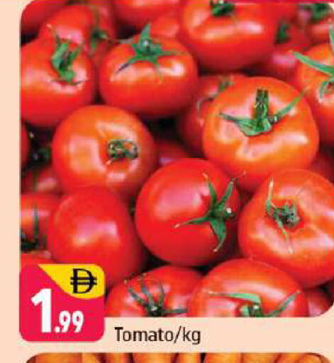 Tomato available at شكلان ماركت in الإمارات العربية المتحدة , الامارات - دبي