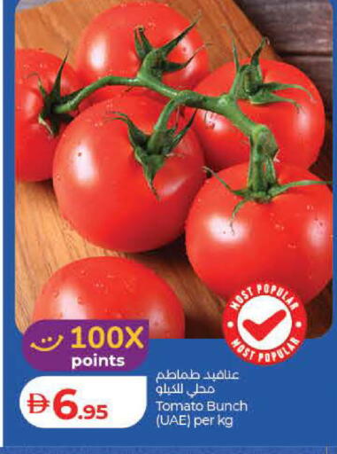 Tomato available at Lulu Hypermarket in UAE - Dubai