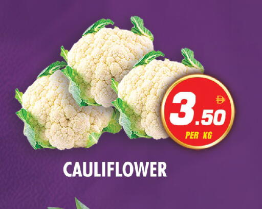 Cauliflower available at نايت تو نايت in الإمارات العربية المتحدة , الامارات - الشارقة / عجمان
