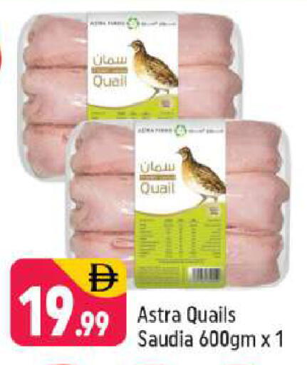 available at شكلان ماركت in الإمارات العربية المتحدة , الامارات - دبي