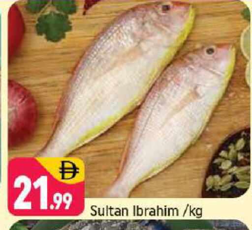 available at شكلان ماركت in الإمارات العربية المتحدة , الامارات - دبي