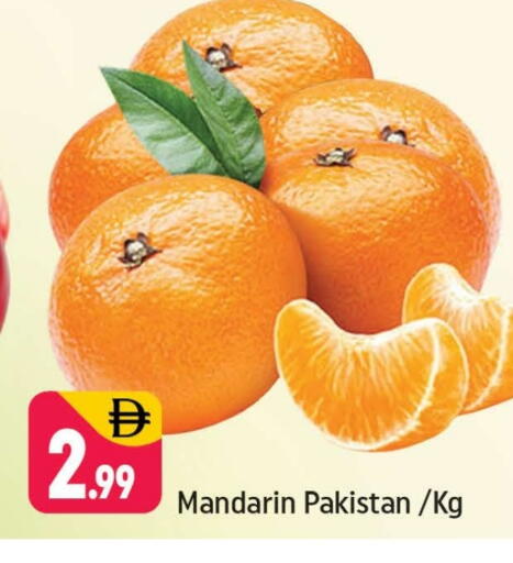 Mandarin from Pakistan available at شكلان ماركت in الإمارات العربية المتحدة , الامارات - دبي