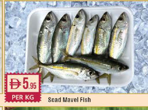 available at West Zone Supermarket in UAE - Dubai