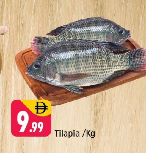 available at شكلان ماركت in الإمارات العربية المتحدة , الامارات - دبي