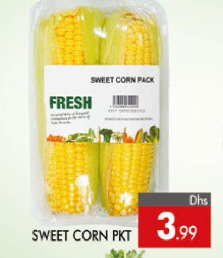 available at المدينة in الإمارات العربية المتحدة , الامارات - دبي