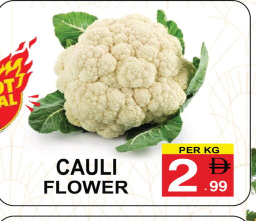 available at Friday Center in UAE - Sharjah / Ajman