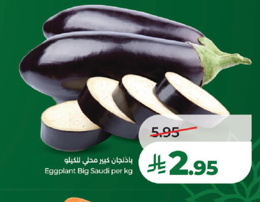 Eggplant from Saudi Arabia available at LULU Hypermarket in KSA, Saudi Arabia, Saudi - Al-Kharj