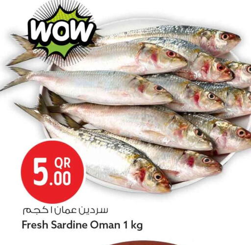 available at سفاري هايبر ماركت in قطر - الشحانية