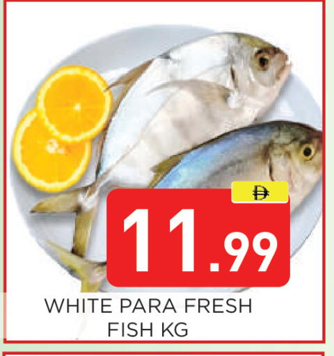 available at عين المدينة هايبرماركت in الإمارات العربية المتحدة , الامارات - الشارقة / عجمان