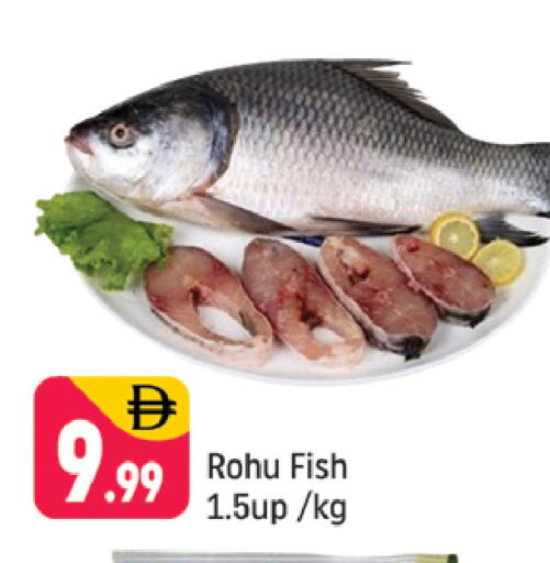 available at شكلان ماركت in الإمارات العربية المتحدة , الامارات - دبي