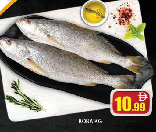 available at المدينة in الإمارات العربية المتحدة , الامارات - دبي