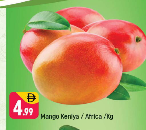 Mango available at شكلان ماركت in الإمارات العربية المتحدة , الامارات - دبي