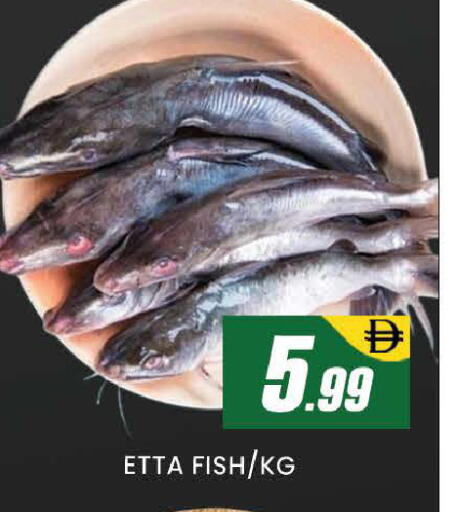 available at AL MADINA (Dubai) in UAE - Dubai