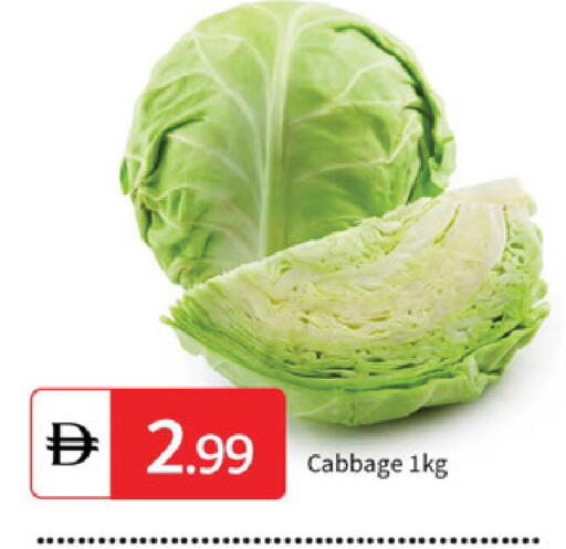 Cabbage available at سوق طلال in الإمارات العربية المتحدة , الامارات - الشارقة / عجمان