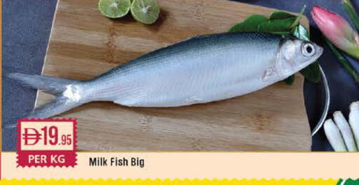 available at West Zone Supermarket in UAE - Dubai